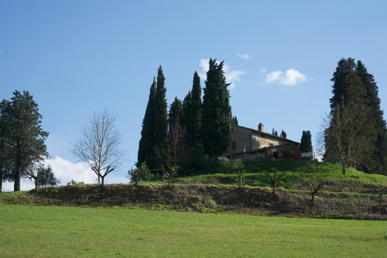Agriturismo Il Caio Cetona Bagian luar foto