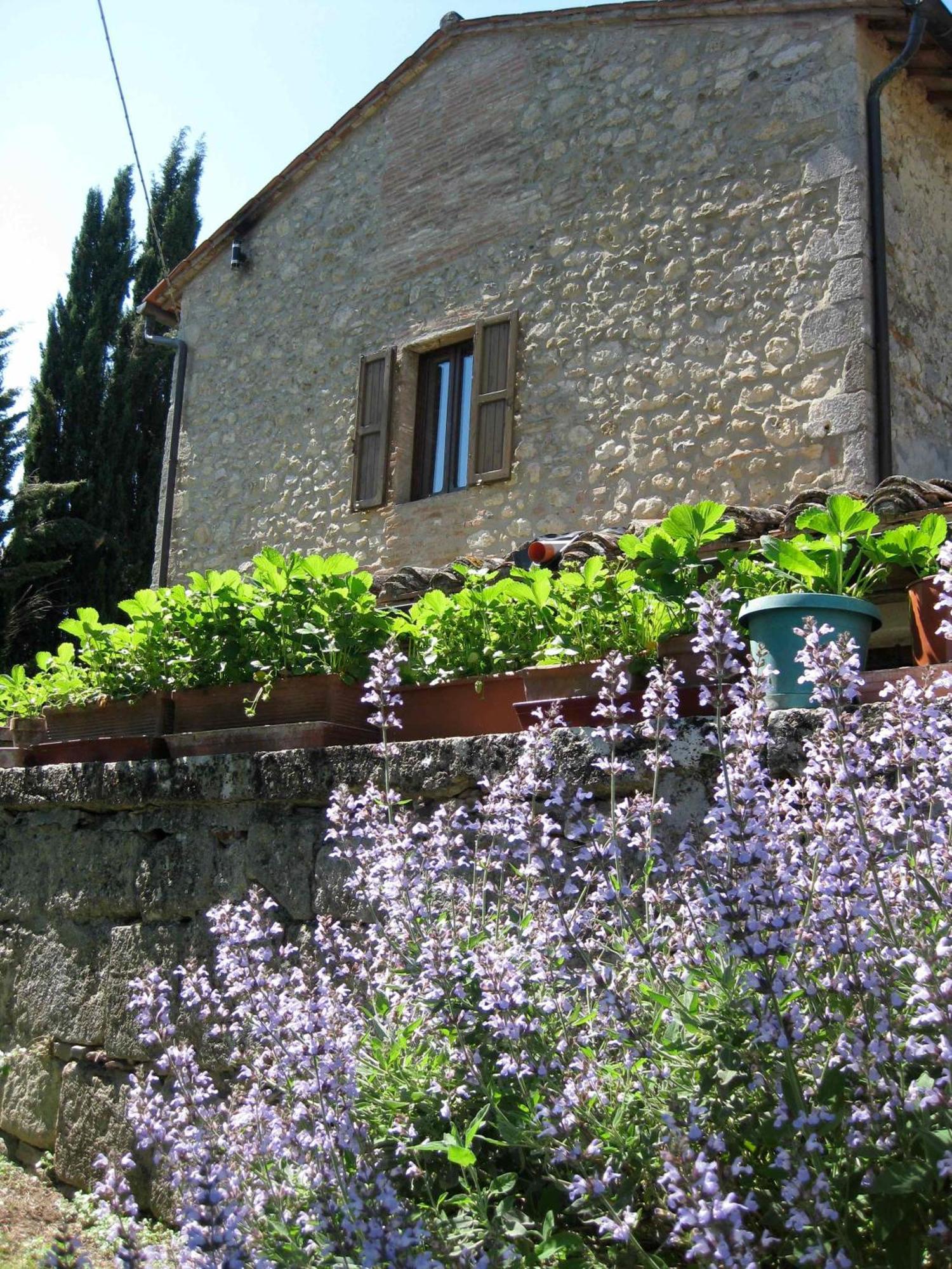 Agriturismo Il Caio Cetona Bagian luar foto