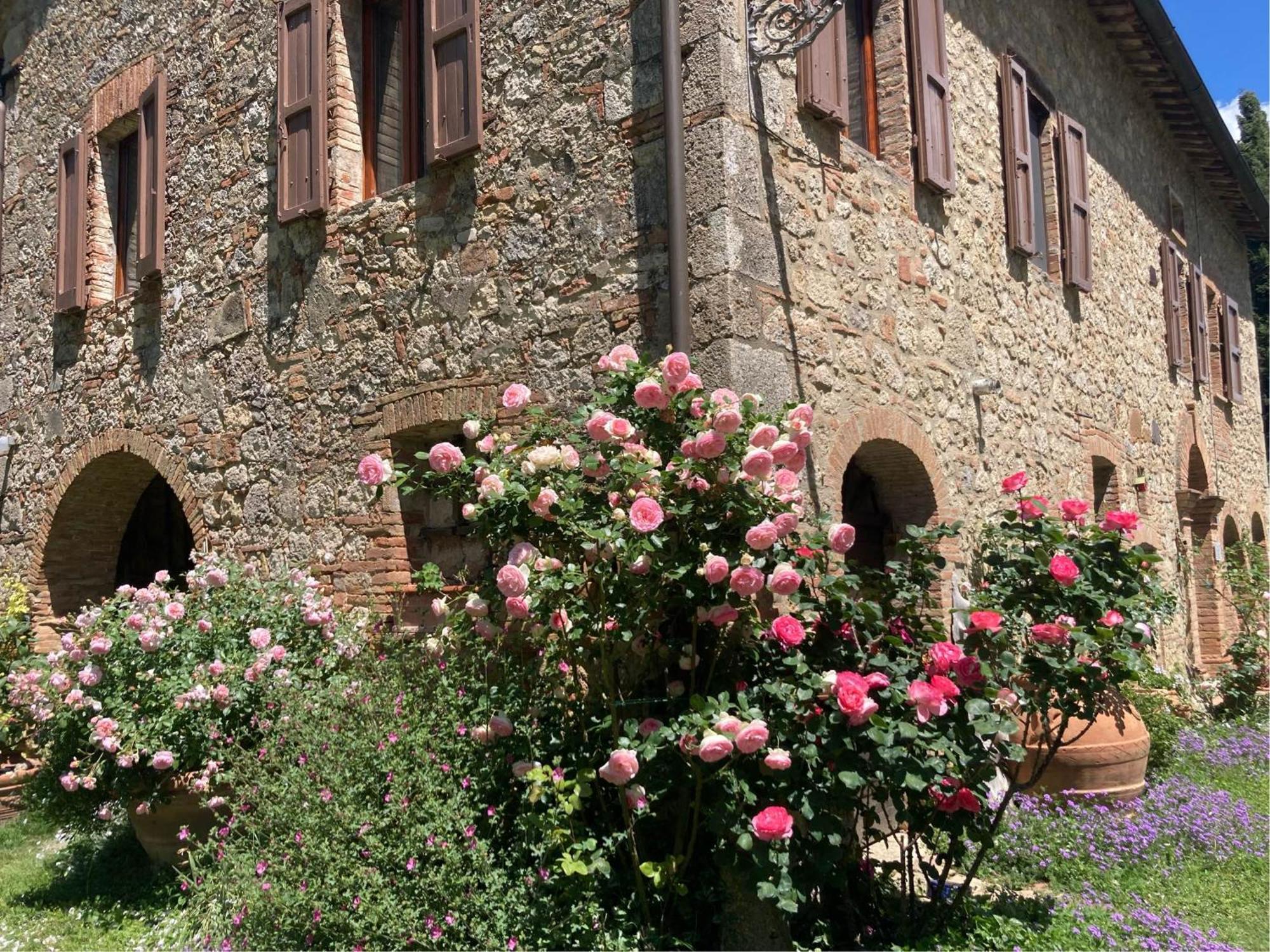 Agriturismo Il Caio Cetona Bagian luar foto