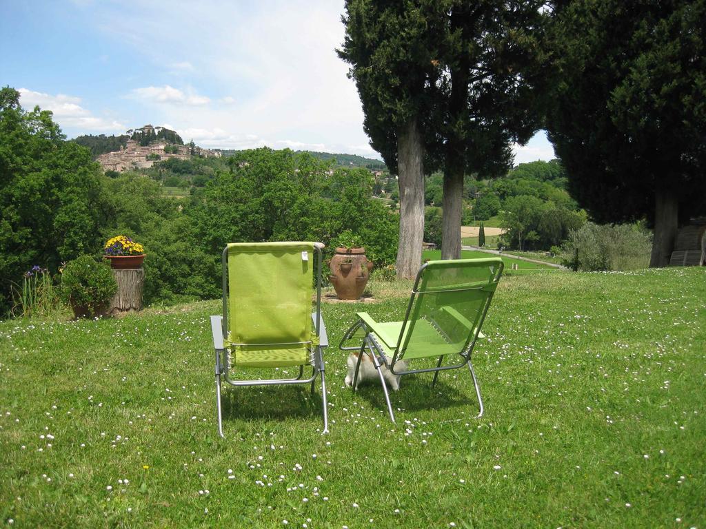 Agriturismo Il Caio Cetona Bagian luar foto