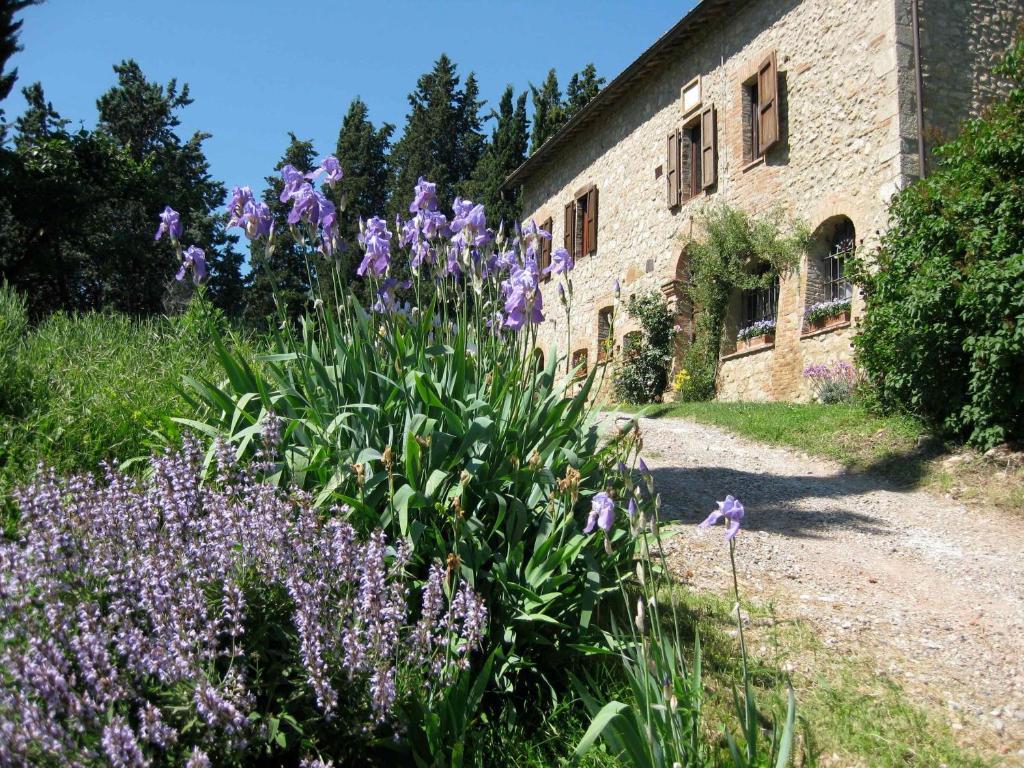 Agriturismo Il Caio Cetona Bagian luar foto