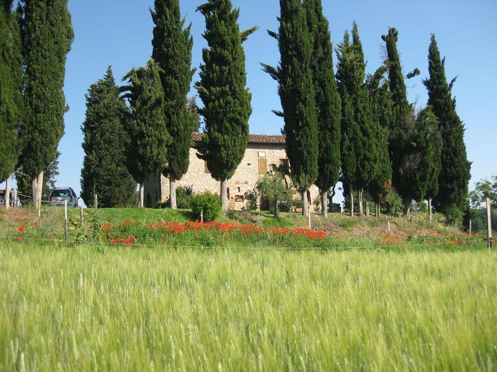 Agriturismo Il Caio Cetona Bagian luar foto