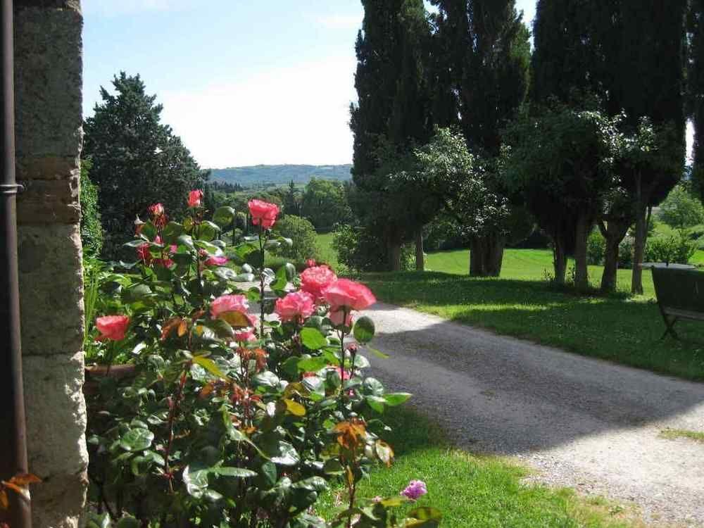 Agriturismo Il Caio Cetona Bagian luar foto