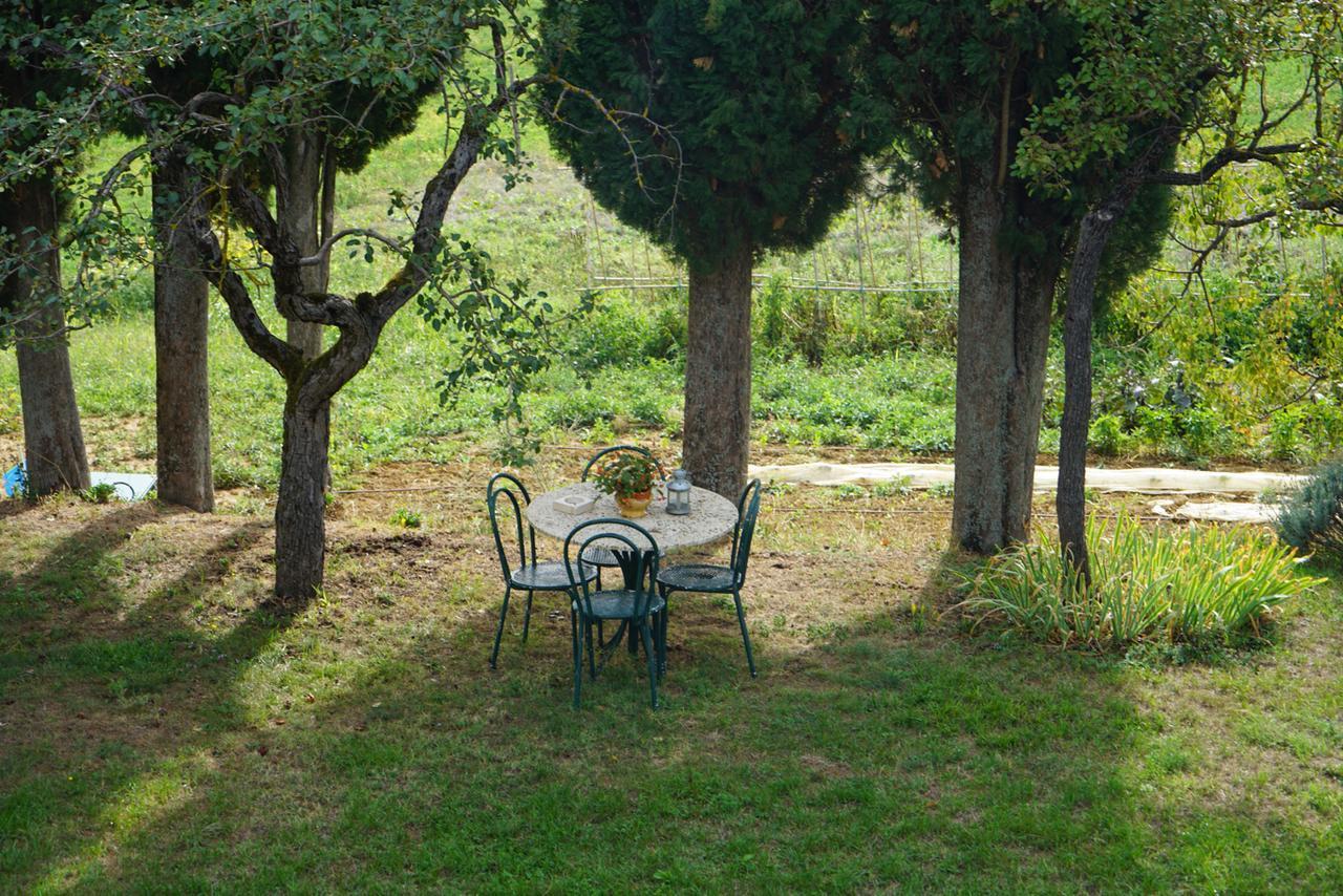 Agriturismo Il Caio Cetona Bagian luar foto